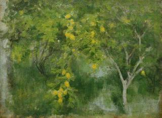 A Corfu Garden (study)