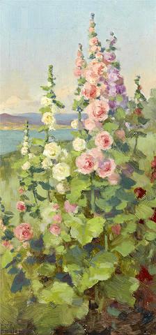 Hollyhocks