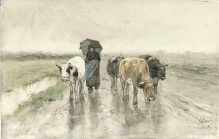 雨中在乡间小路上牵着牛的女牧人