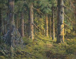 Pine Forest