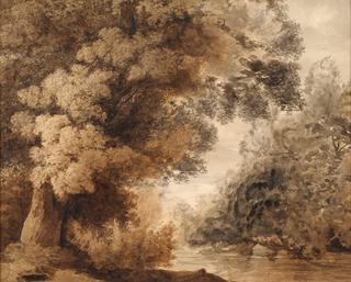 Wooded River Landscape