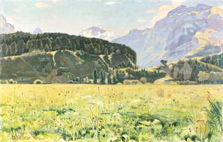 Summer Landscape near Interlaken