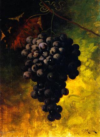 Hanging Grapes