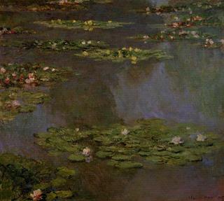 Water-Lilies