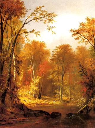 The Moose River