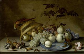 Still life with fruit in a porcelain dish, parrot on a wicker basket, shells and insects