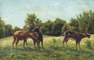 The Pasture