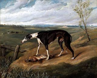 A Greyhound with a Hare