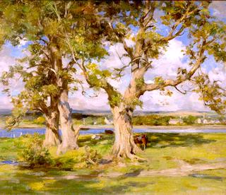 Three Trees by a River