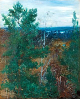 Forest Landscape