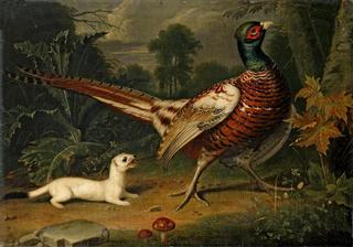 Pheasant and Weasel