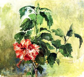 The Hibiscus, Tahiti, Society Islands, 1891