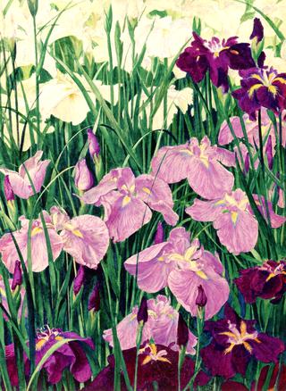 Irises