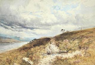 A Heathland Path (Slackmount)