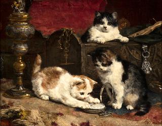 kittens playing with a pocket watch