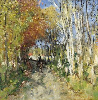 Alley in the Forest