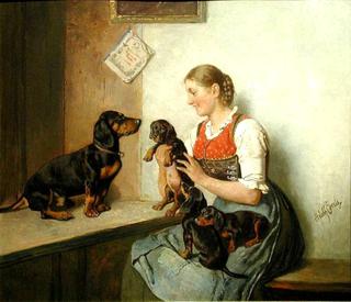 Dachshund puppies