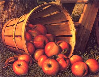 Apple Harvest