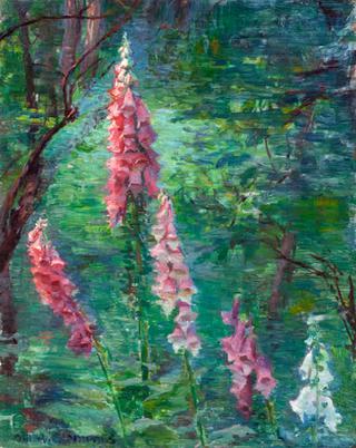 Foxgloves