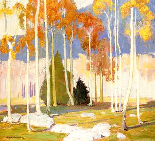 Aspen Trees