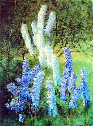 Delphiniums in the Garden