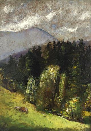 Landscape