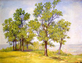 Landscape - Trees