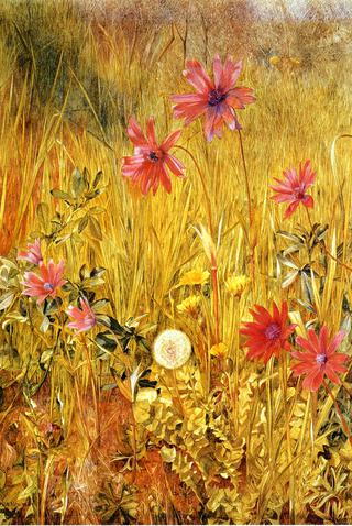 Wildflowers