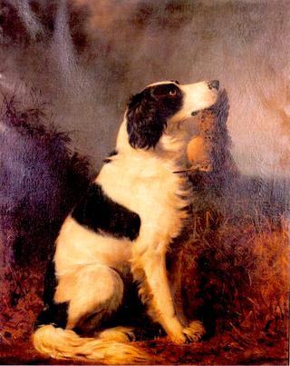 Spaniel with Woodcock