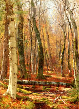 Wooded Interior