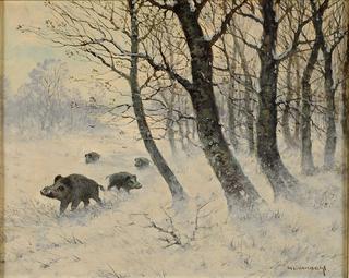 Wild boar in winter forest
