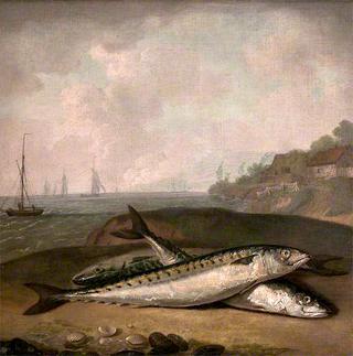 Mackerel on a Dorset Shore with the Golden Cap in the Background