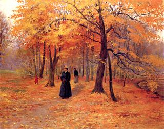 A Forest Walk in Autumn
