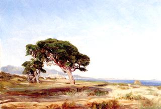 Paysage des environs de Cagnes