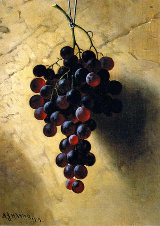 Grapes