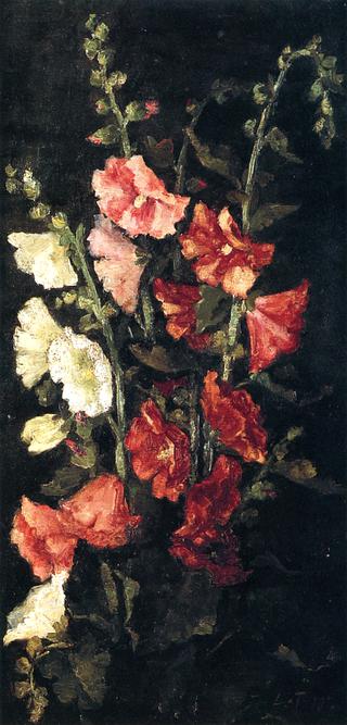 Hollyhocks