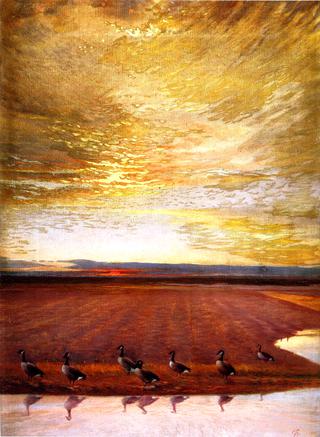 Honkers at Sunrise