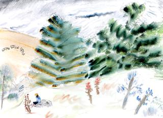 Figures in Fields