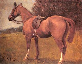 Riding Bareback