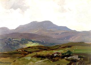 Donegal Bogland