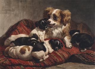 moederhond met zes puppies