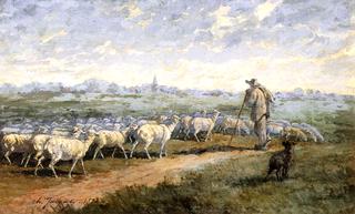 羊群景观