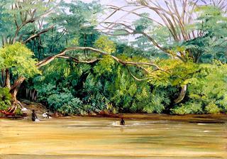 View of the Sandy River at Spanish Town, Jamaica