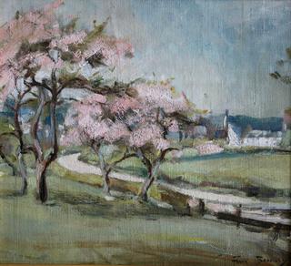 Grasmer cherry blossom