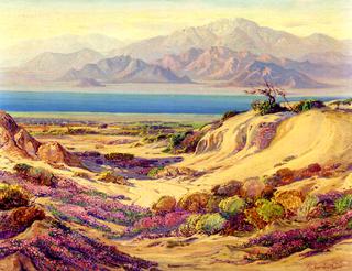 Salton Sea