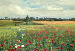 Field with Poppies and Daisies