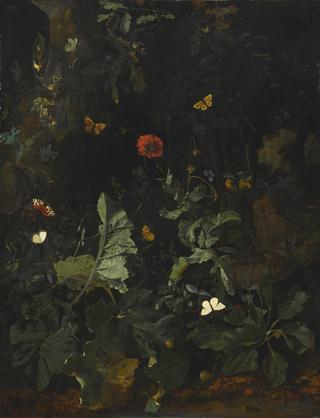 A Forest Floor Still Life with Flowering Plants and Butterflies