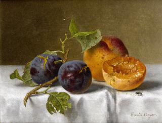 Plums and Apricots