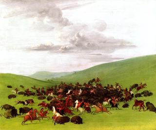 Buffalo Hunt, A Surround by the Hidatsa