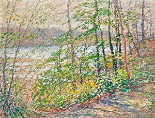 Spring Woods by the River